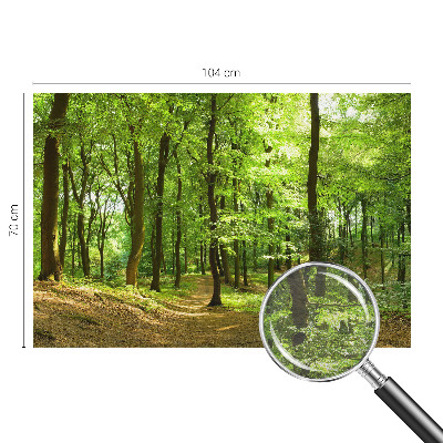 Flis fototapeta z motivom naravne poti