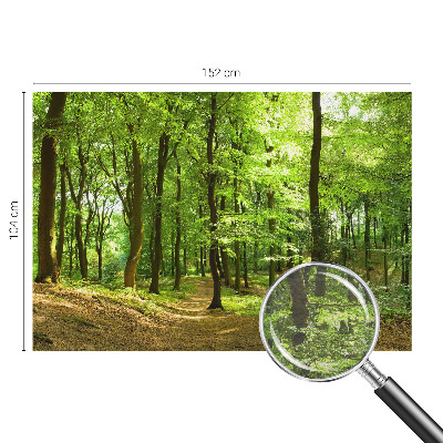 Flis fototapeta z motivom naravne poti