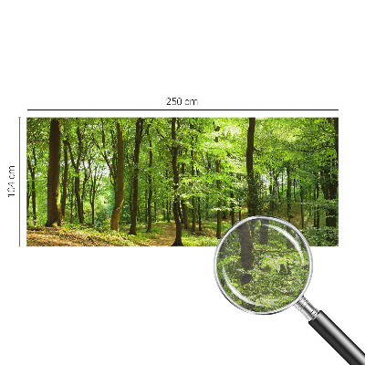 Flis fototapeta Naravna pot