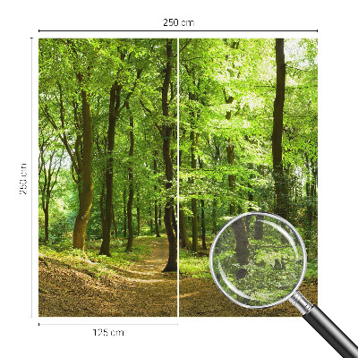 Flis fototapeta z motivom naravne poti