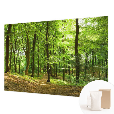 Flis fototapeta z motivom naravne poti