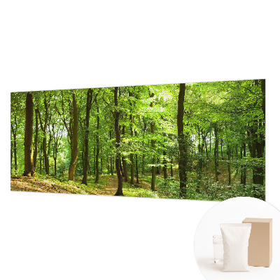 Flis fototapeta z motivom naravne poti