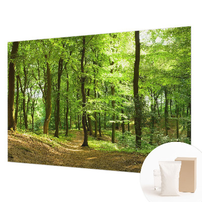 Flis fototapeta z motivom naravne poti