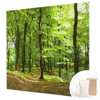 Flis fototapeta z motivom naravne poti
