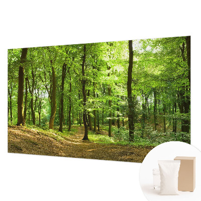 Flis fototapeta z motivom naravne poti