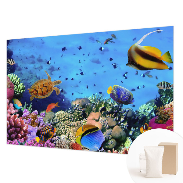 Netkana fototapeta Koralni greben