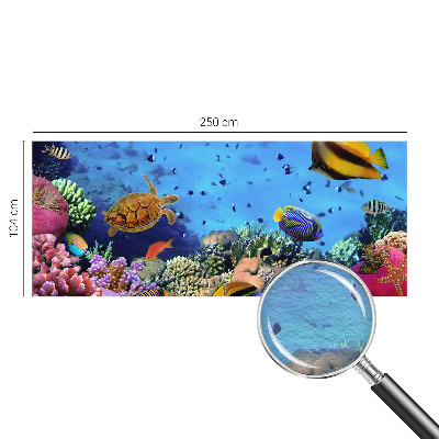 Netkana fototapeta Koralni greben