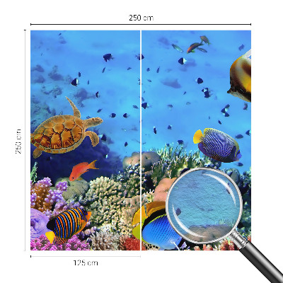 Netkana fototapeta Koralni greben