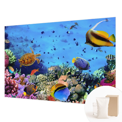 Netkana fototapeta Koralni greben