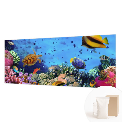 Netkana fototapeta Koralni greben