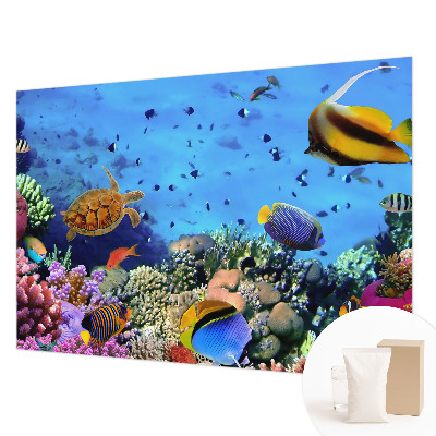 Netkana fototapeta Koralni greben