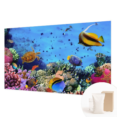 Netkana fototapeta Koralni greben