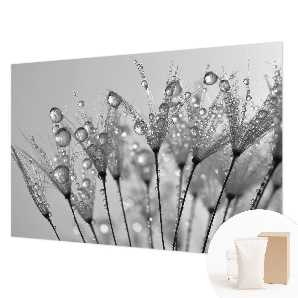 Fototapeta po meri Mokra poslastica