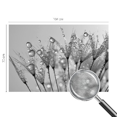 Fototapeta po meri Mokra poslastica