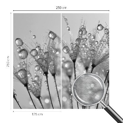 Fototapeta po meri Mokra poslastica