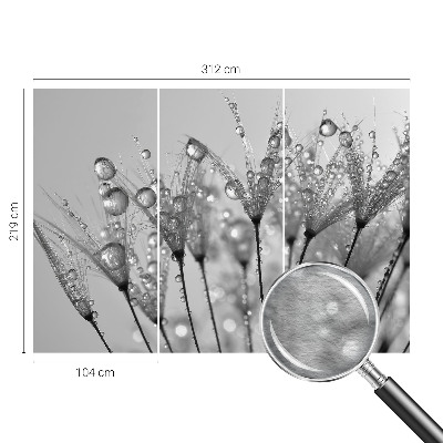 Fototapeta po meri Mokra poslastica