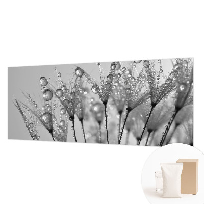 Fototapeta po meri Mokra poslastica