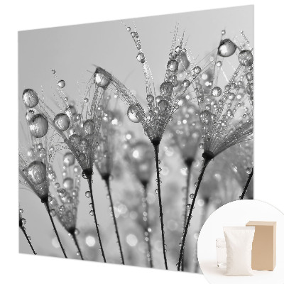 Fototapeta po meri Mokra poslastica