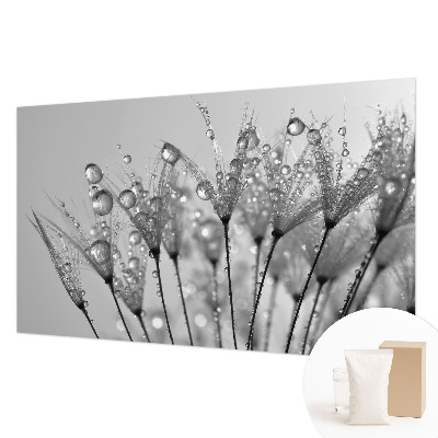 Fototapeta po meri Mokra poslastica