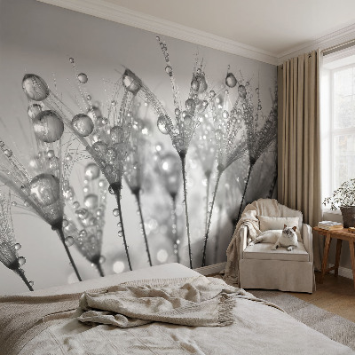 Fototapeta po meri Mokra poslastica