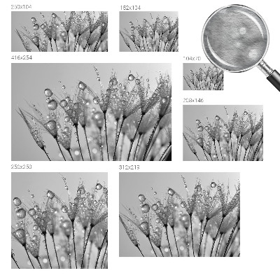 Fototapeta po meri Mokra poslastica