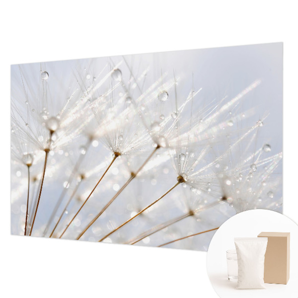 Fototapeta za steno Rožnati regrat