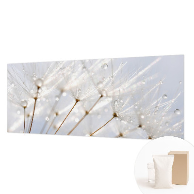 Fototapeta za steno Rožnati regrat