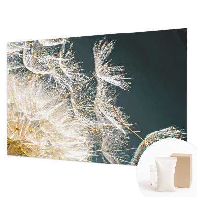 Moderna fototapeta Regrat lahkotnosti