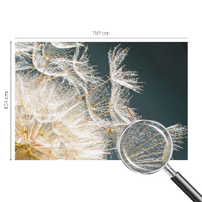 Moderna fototapeta Regrat lahkotnosti