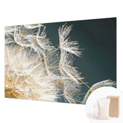 Moderna fototapeta Regrat lahkotnosti