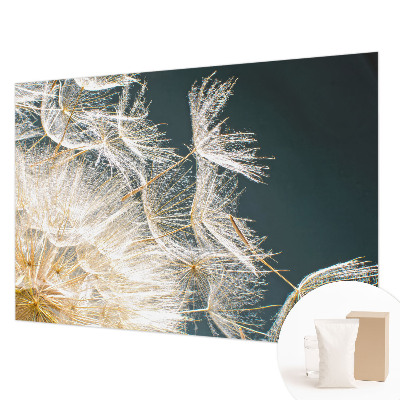 Moderna fototapeta Regrat lahkotnosti