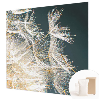 Moderna fototapeta Regrat lahkotnosti