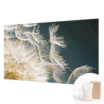 Moderna fototapeta Regrat lahkotnosti