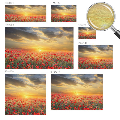 Foto tapeta z motivom makovega polja