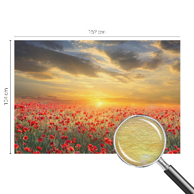 Foto tapeta Makovo polje