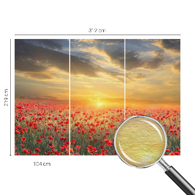 Foto tapeta z motivom makovega polja