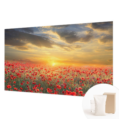 Foto tapeta Makovo polje