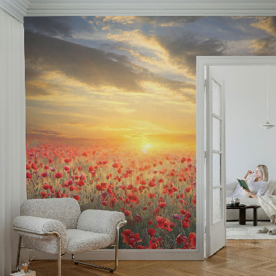 Foto tapeta z motivom makovega polja