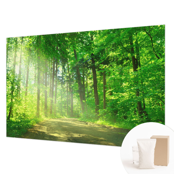 Flis fototapeta z motivom gozdne poti