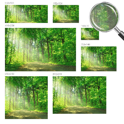 Flis fototapeta z motivom gozdne poti