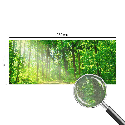 Flis fototapeta z motivom gozdne poti