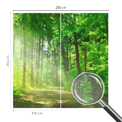 Flis fototapeta z motivom gozdne poti