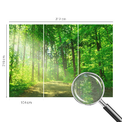Flis fototapeta z motivom gozdne poti