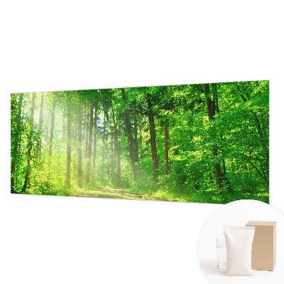 Flis fototapeta z motivom gozdne poti
