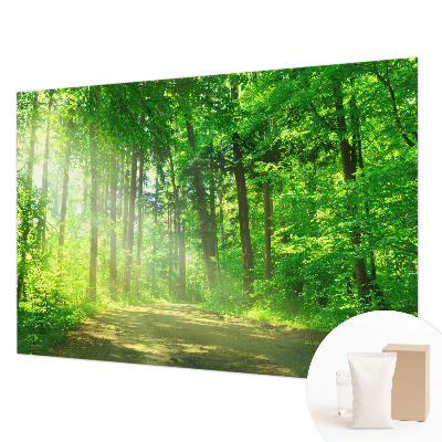Flis fototapeta z motivom gozdne poti
