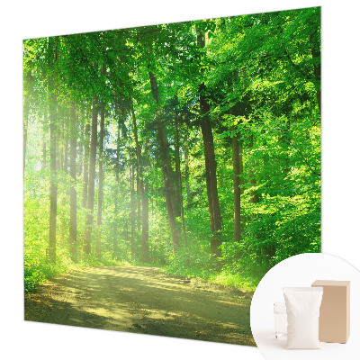 Flis fototapeta z motivom gozdne poti
