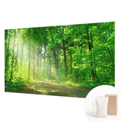 Flis fototapeta z motivom gozdne poti
