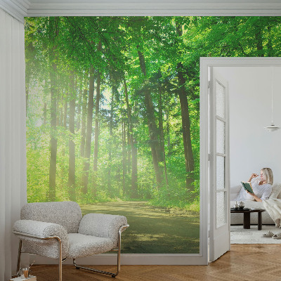 Flis fototapeta z motivom gozdne poti
