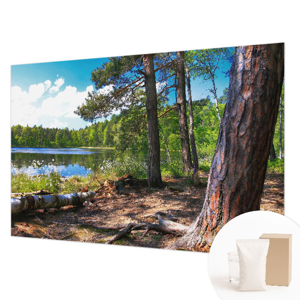 Fototapeta za dnevno sobo Gozdna pokrajina