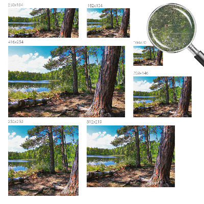 Fototapeta za dnevno sobo Gozdna pokrajina